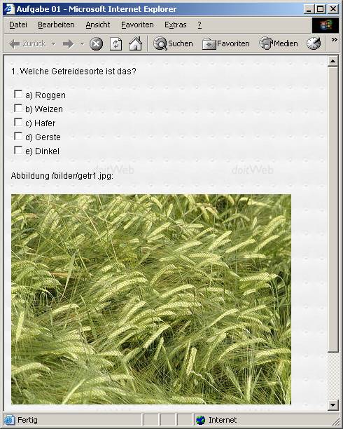 Beispiel f�r Pr�fungsfrage